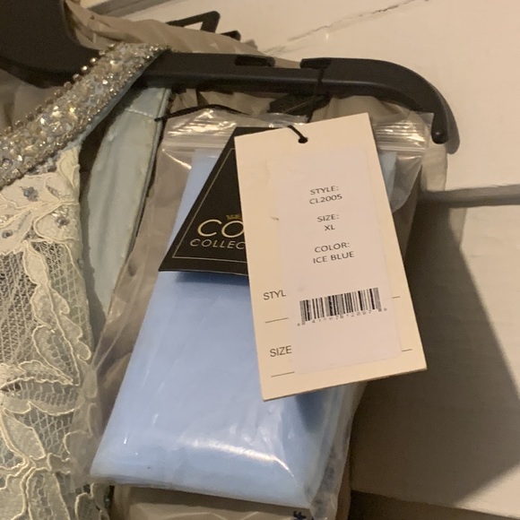 Cinderella Baby Blue or Light Blue with Lace Ball Gown - Picture 9 of 9